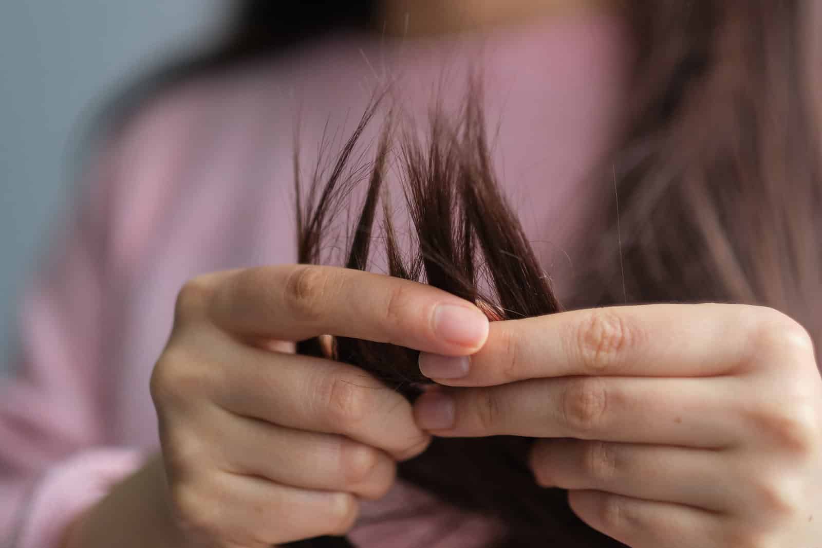 Zwischen den Fingern gehaltene dunkle Haarspitzen zeigen ausgefranste Enden und sichtbaren Spliss im Detail.
