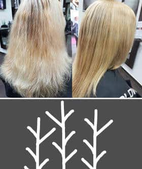 Blondes Haar zeigt links trockene, ausgefranste Spitzen und rechts eine glatte, gleichmäßig fallende Oberfläche.